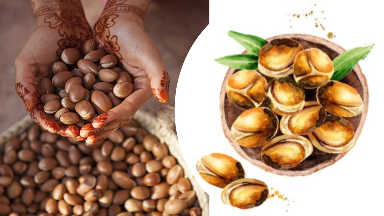 el fruto de argan
