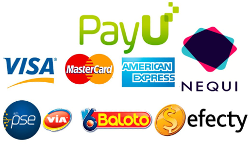 forma de pago 2